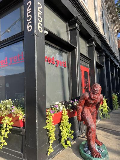 Karyn Locke - Red Yeti