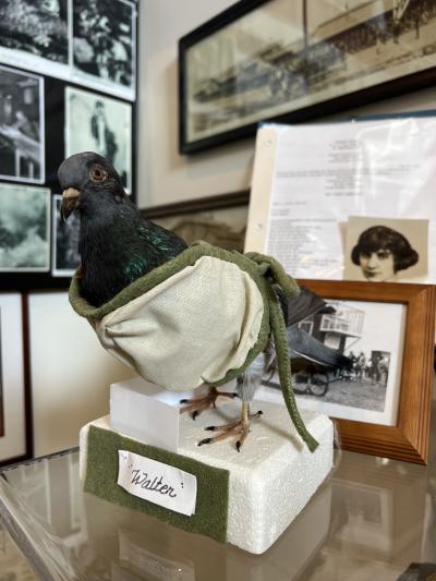 Karyn Locke - Clark County Museum