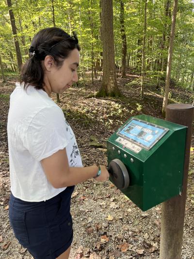 Karyn Locke - Rose Island