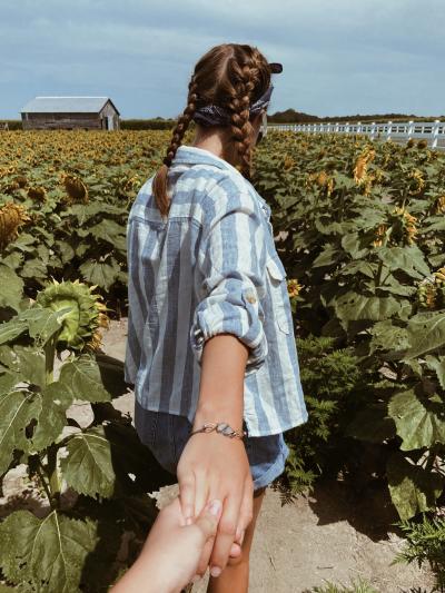 Sunflower Field