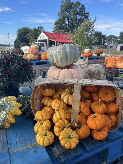 T.S. Smith Orchard