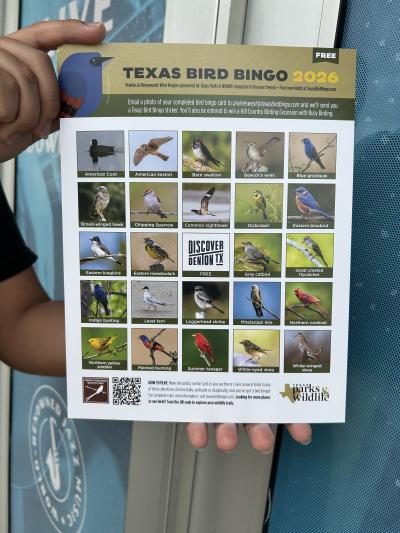 Birding Bingo Card