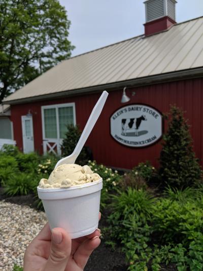 Ice Cream at Klein Farms Dairy & Creamery in Easton