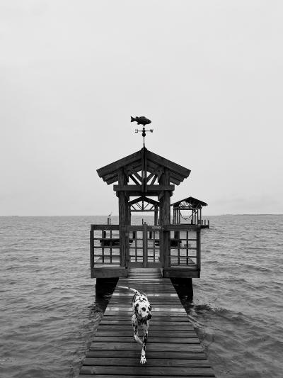 East Beach Ocean Springs - Adrian LaBorde