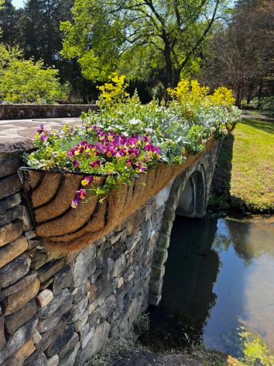 Botanical Garden