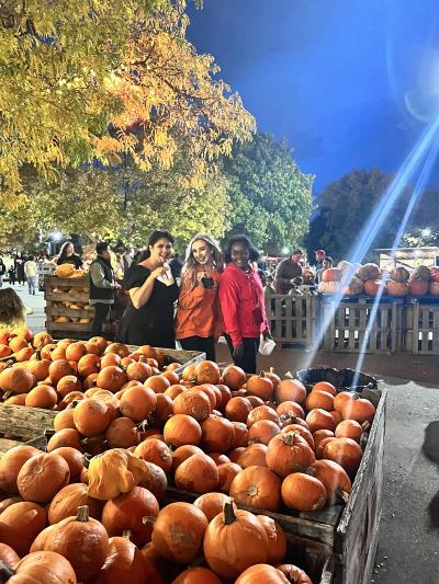 Jerry Smith Farm in the fall