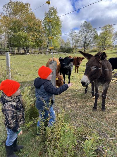 Children looking at animals at a local pumpkin patch and farm in the Upper Peninsula of Michigan