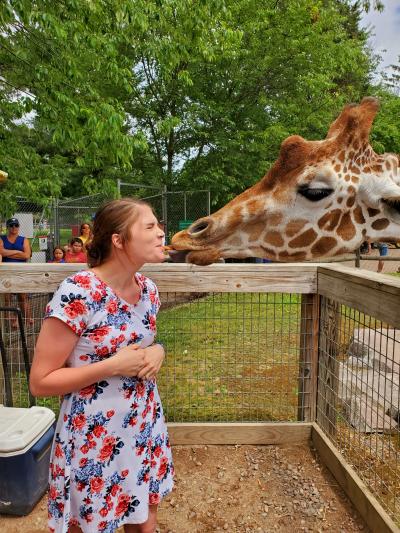 feeding giraffe at the zoo