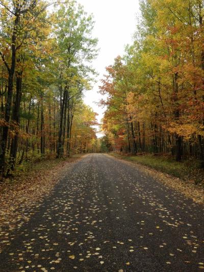 A Rustic Road with Fall Leaves and Trees in Minocqua