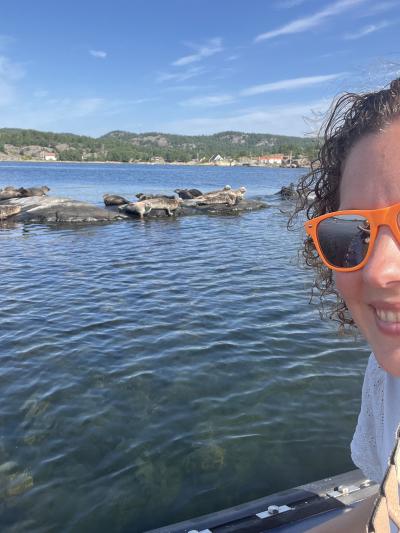 Seal Spotting