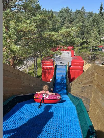 Trollaktivt slide