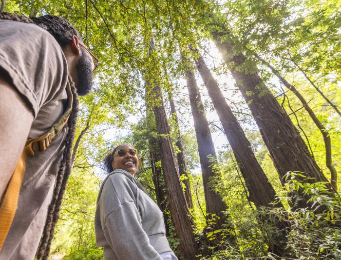 Redwoods_LifeStyle_shoot