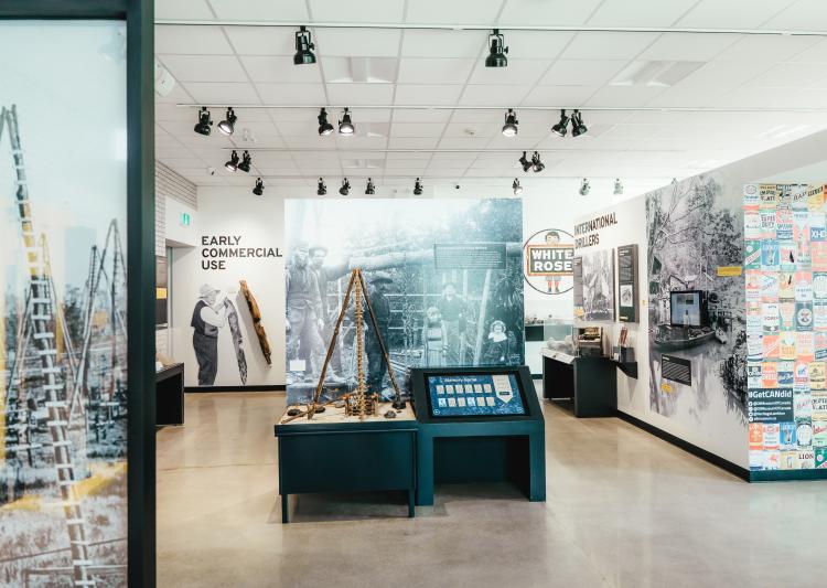 Picture of an inside exhibit.