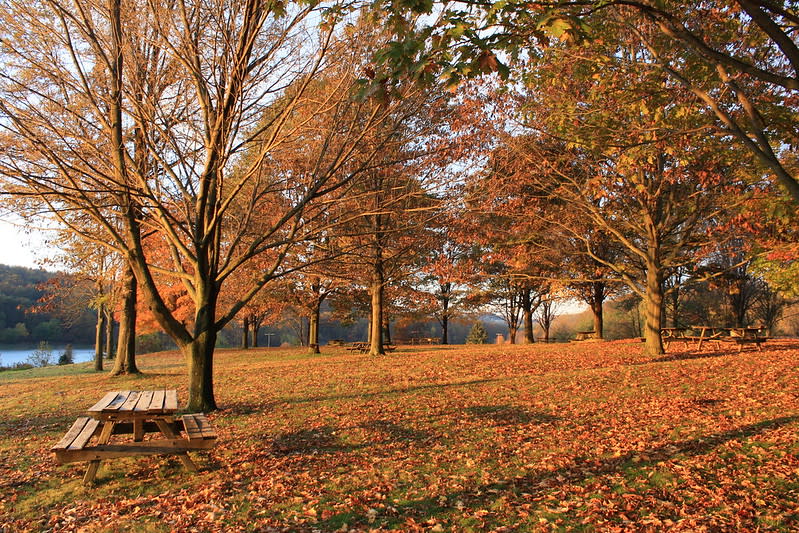 Moraine State Park & Cabins