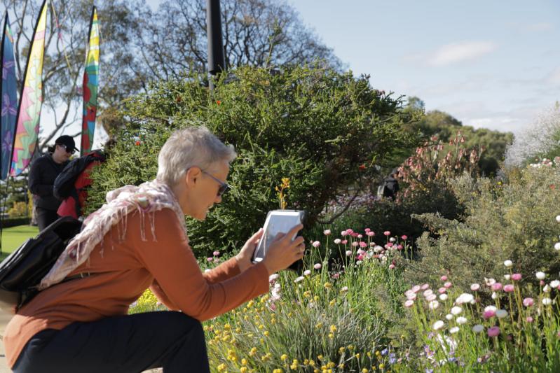 The Hike Collective, Kings Park