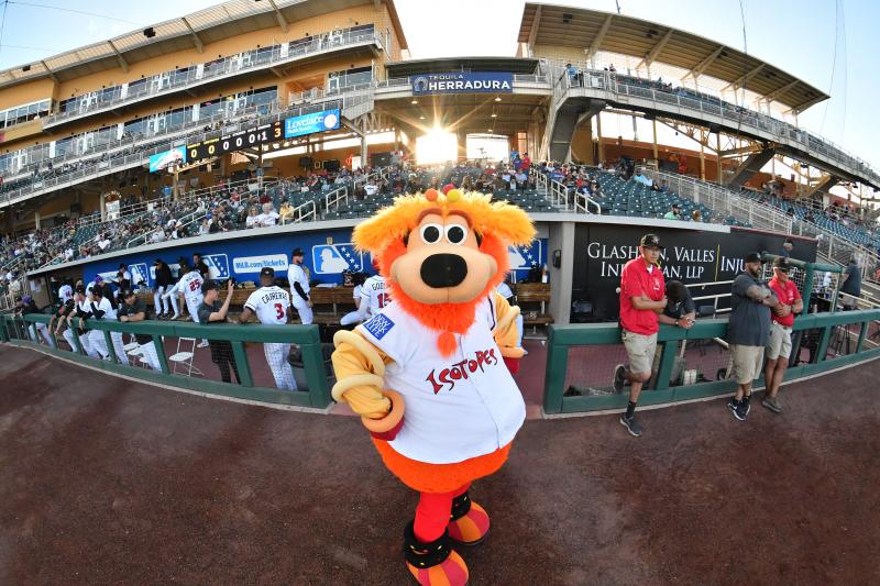 Orbit poses in front of the Isotopes dugout at Isotopes Park.
