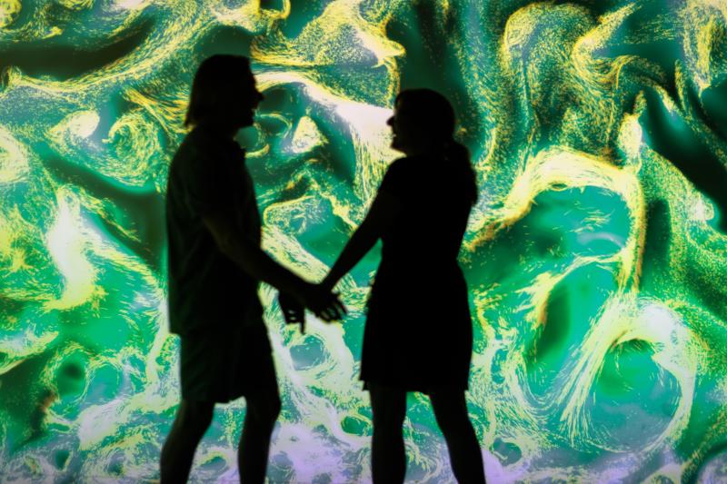 Electric Playhouse Couple