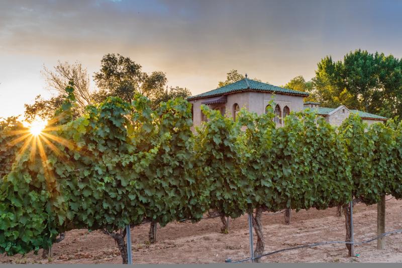 Casa Rondeña Winery