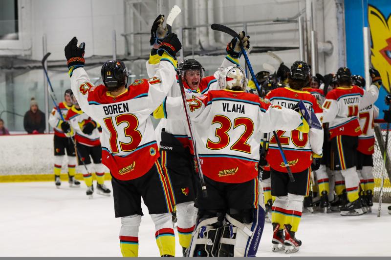 The New Mexico Ice Wolves cheer during a game.