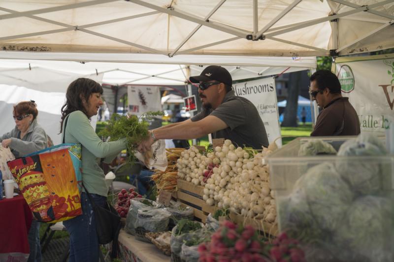 Downtown Growers Market