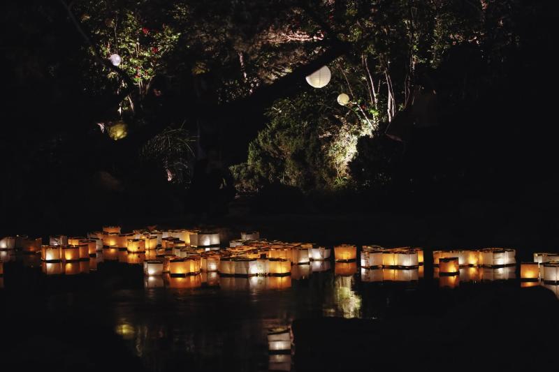 A photo of lanterns sitting on a pond at night.