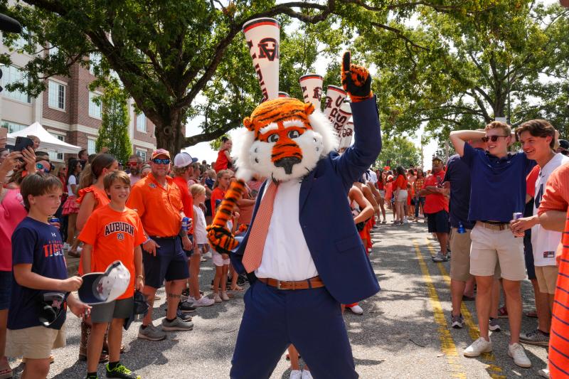Tiger Walk