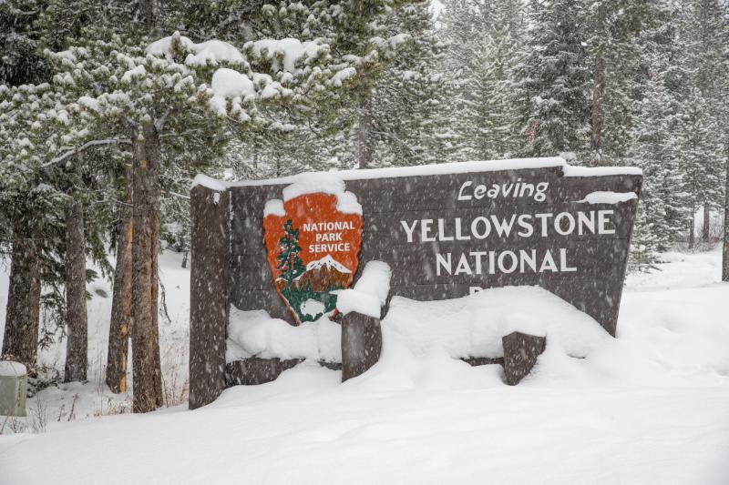 Winter in Yellowstone