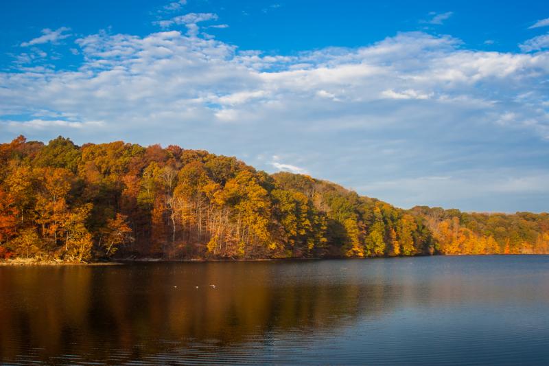 Fall Lake Griffy