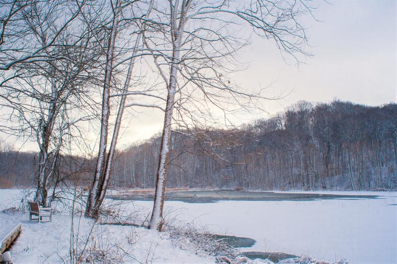 A view of Griffy Lake from a hiking trail during winter