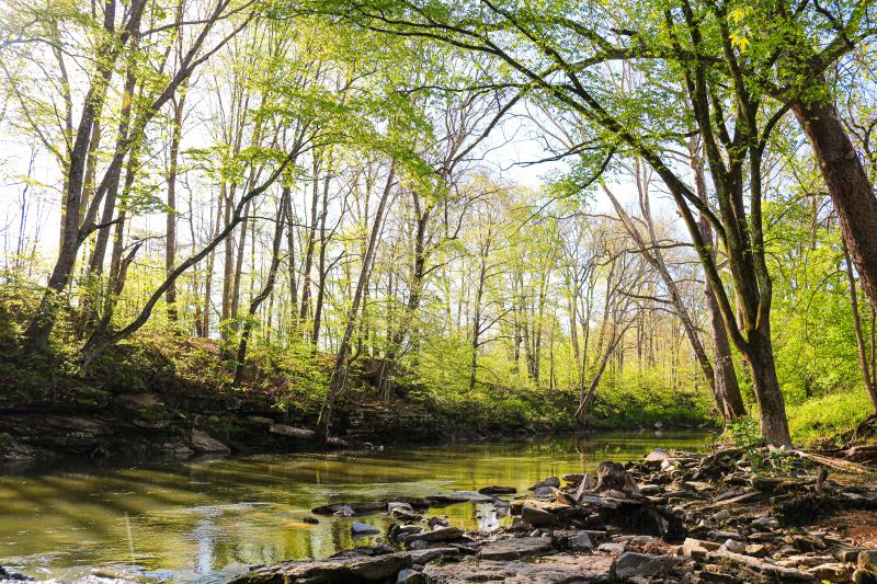 A rive winding through Cedar Bluff Nature Preserve