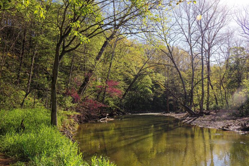 View of Clear Creek at Cedar Bluffs Nature Preserve during spring