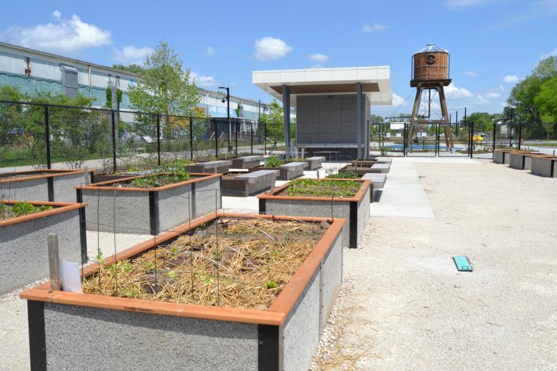 Community garden at Switchyard Park