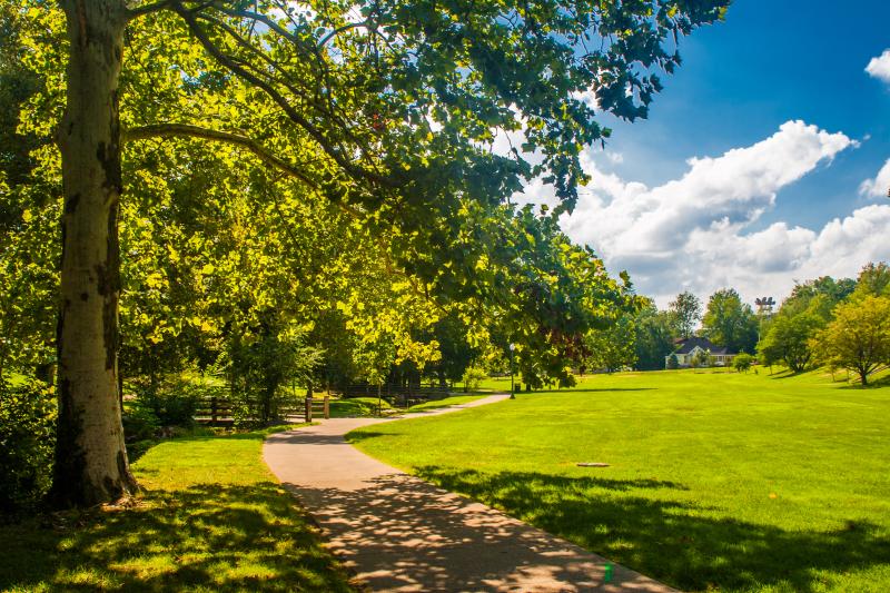 Dunn Meadow during summer