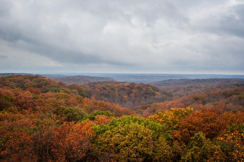 View of the Charles C. Deam Wilderness from the Hickory Ridge Fire Tower during fall