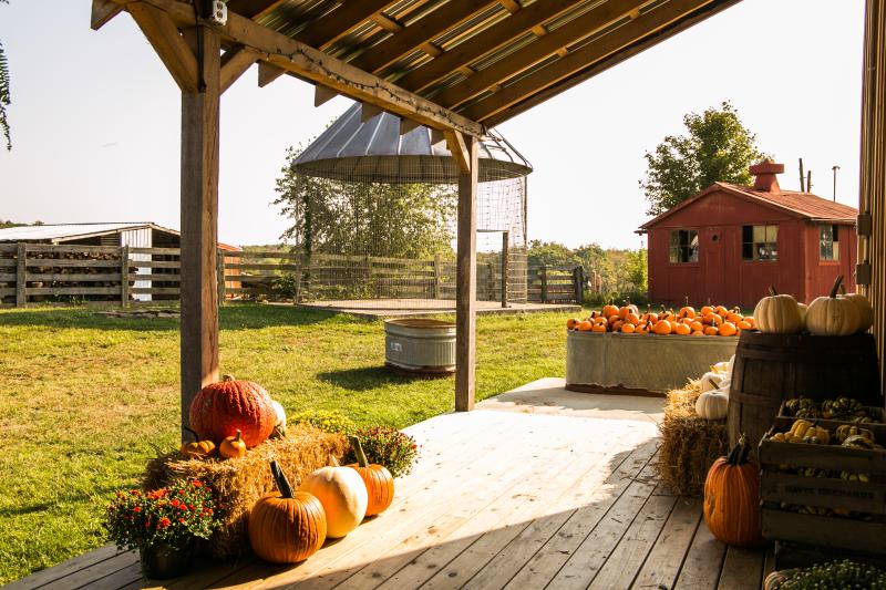 Fowler Pumpkin Patch In Bloomington, IN