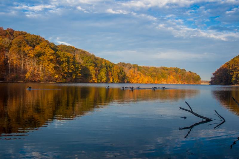 Griffy Lake 1