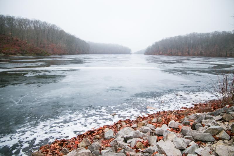 Lake Griffy Winter