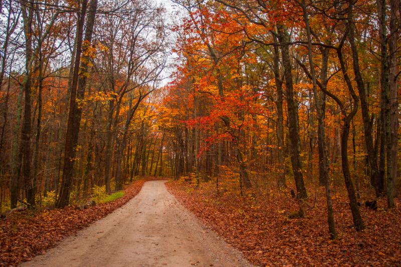 Hoosier National Road in Fall