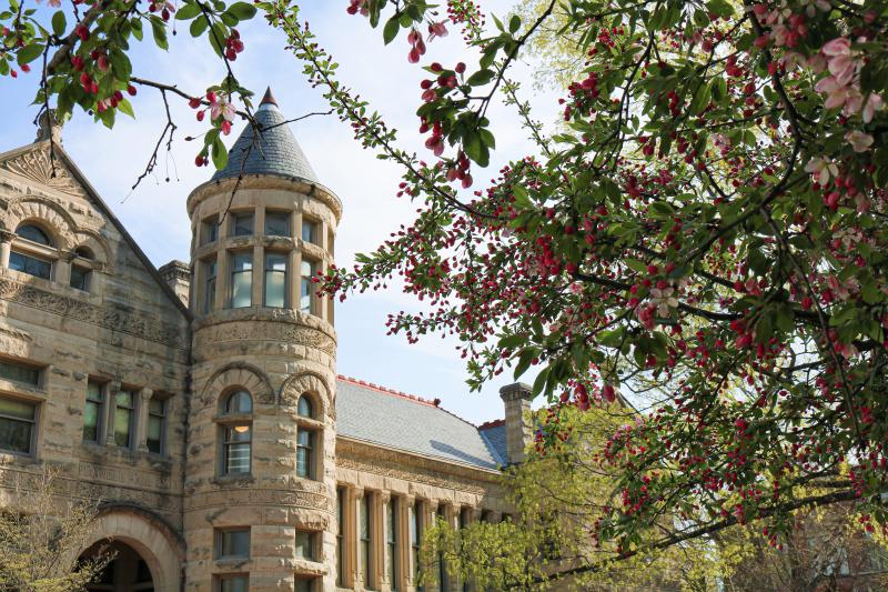 Flowered tree in front of Maxwell Hall