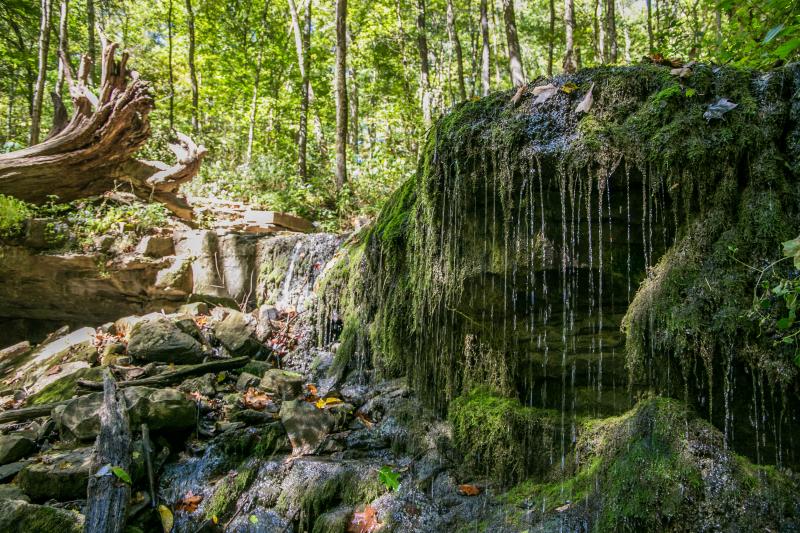 Water falling over mossy rocks at Leonard Springs Nature Park near Bloomington, IN