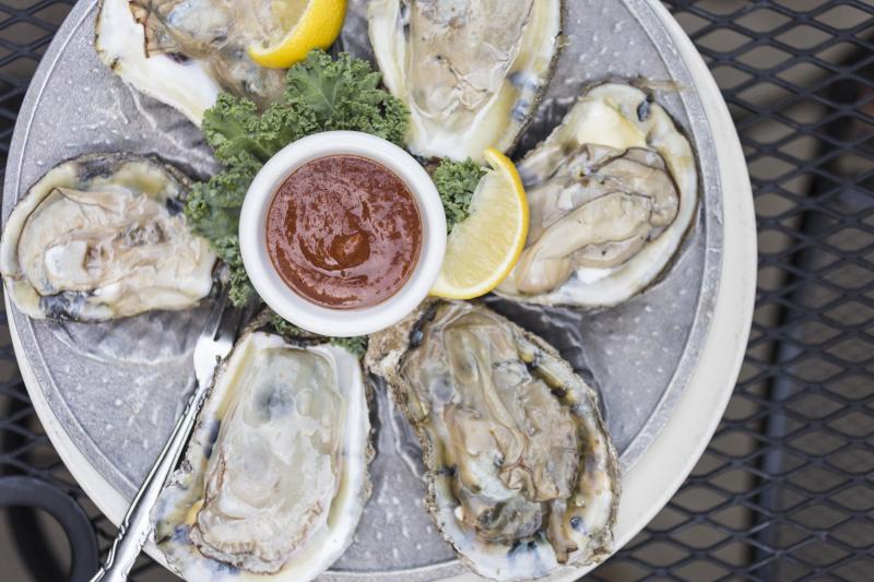 Oysters from The Irish Lion