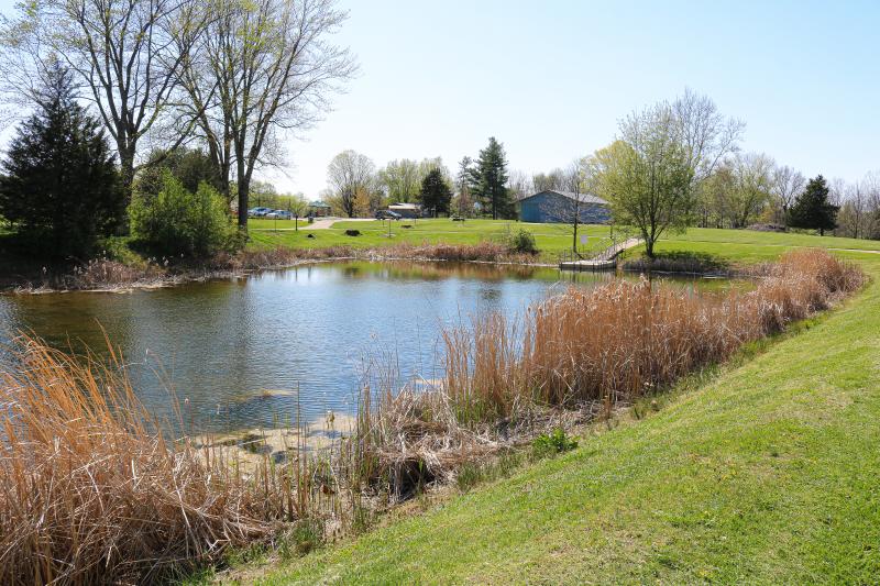 Fishing pond at Will Detmer Park