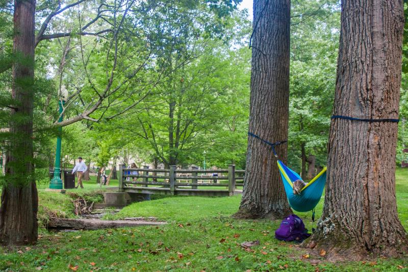 Hammock Campus Full