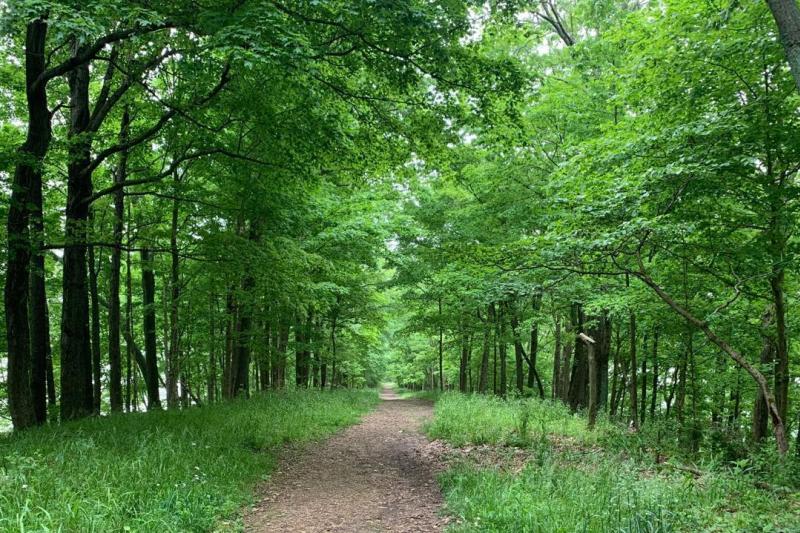 Amy Weingartner Branigin Peninsula Preserve