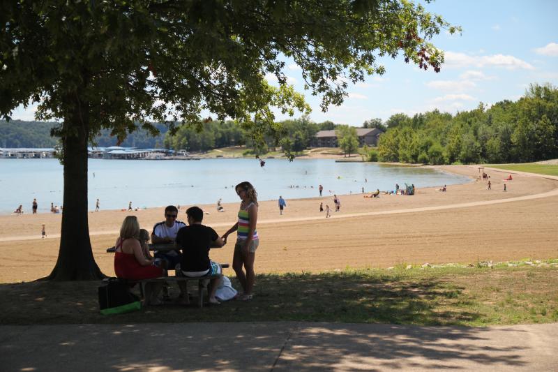 Group picnicking at Fairfax Beach at Lake Monroe