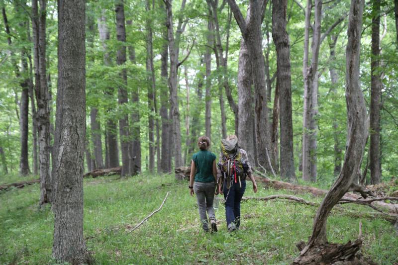 Hikers in Hoosier National Forest