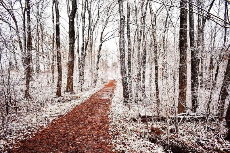 A clear hiking path through the otherwise snow-covered Leonard Springs Nature Park