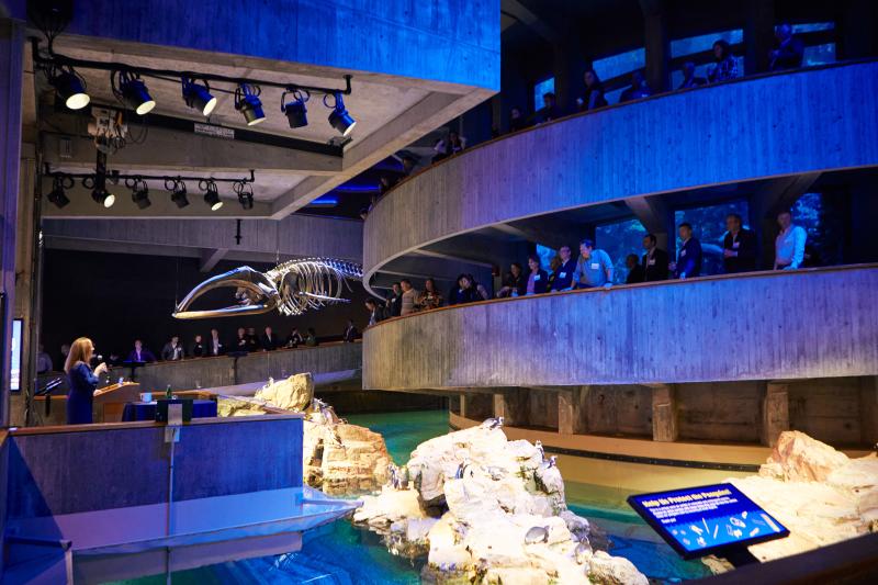 NEAQ2