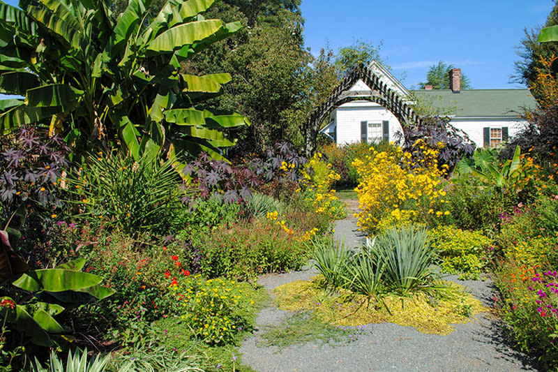 Montrose Gardens with Garden Blog