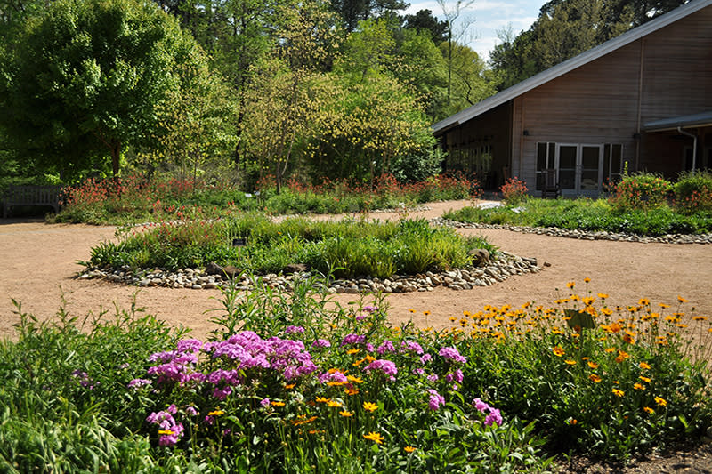 800 by 533 North Carolina Botanical Garden by NCBG